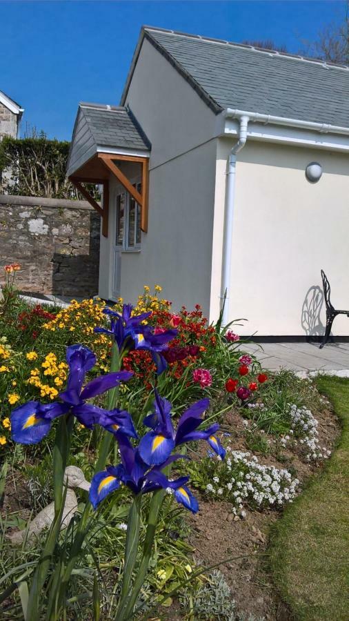 Chy Lowarth Penzance Exteriör bild